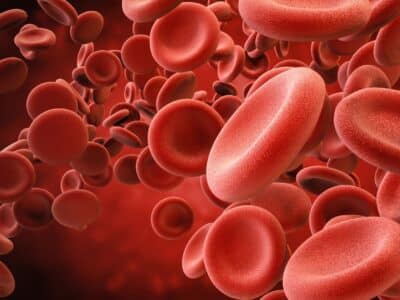 Dangers of Blood Clots